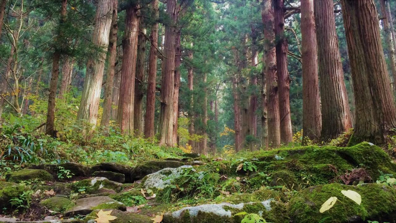 Blueberry Pension Madarao Iiyama Exterior photo